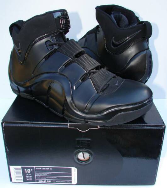 lebron james zoom 4